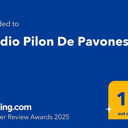 Studio Pilon De Pavones Павонес Екстериор снимка